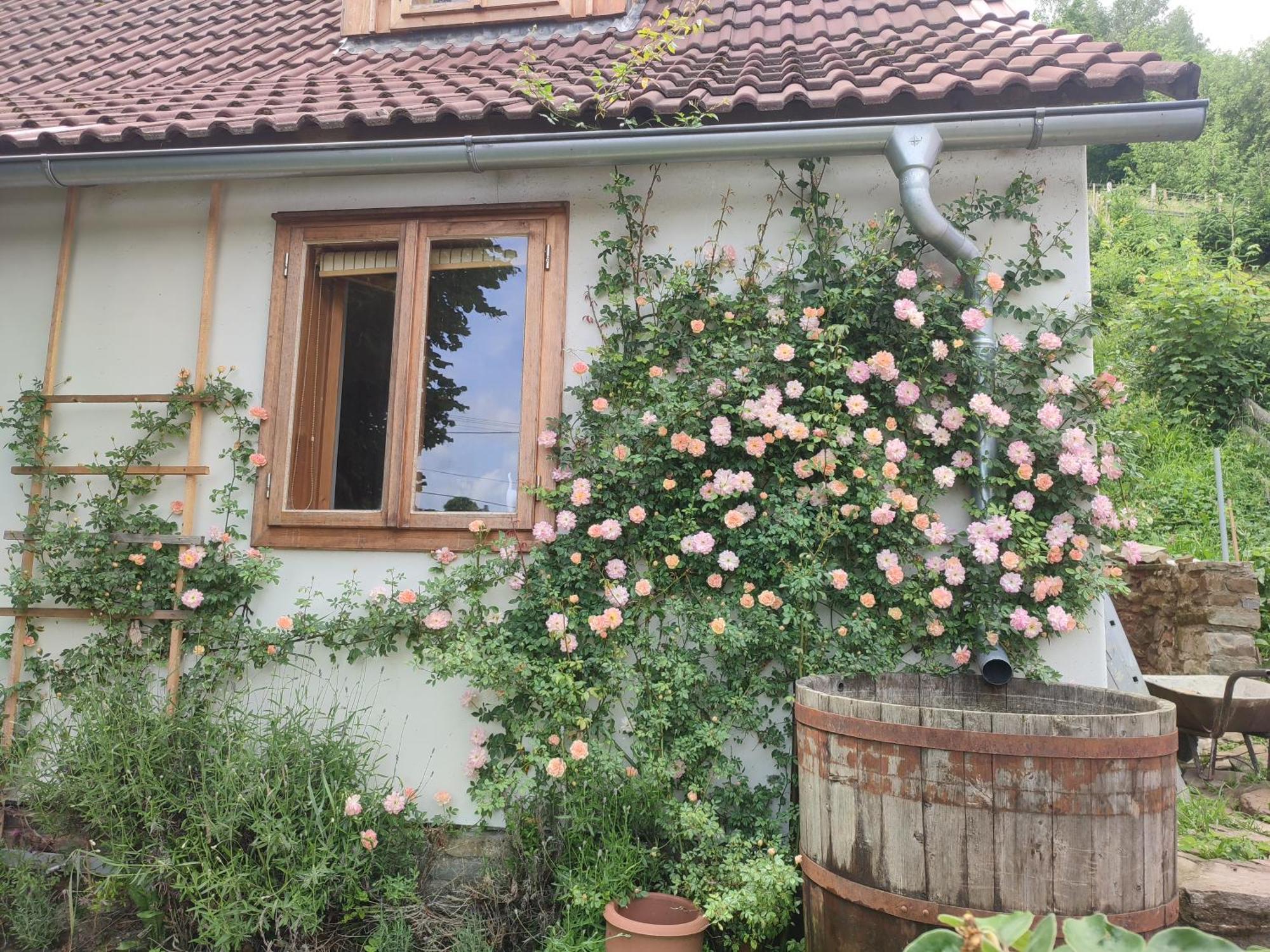 Apartament Stodola Svaty Stepan Bylnice Zewnętrze zdjęcie
